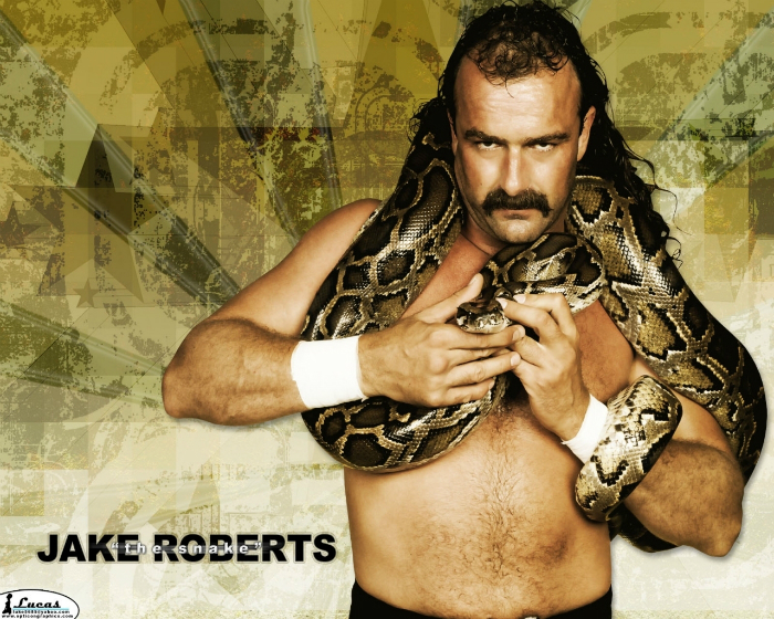 Jake The Snake Roberts